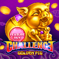 FEATURE BUY・GOLDEN PIG