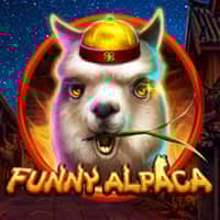 Thumbnail FUNNY ALPACA