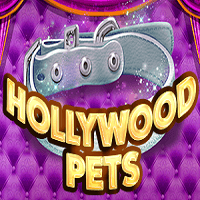 Thumbnail HOLLYWOOD PETS
