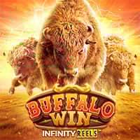 Thumbnail BUFFALO WIN