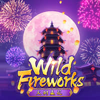 Thumbnail WILD FIREWORKS