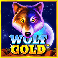 Thumbnail WOLF GOLD