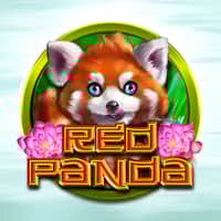 Thumbnail RED PANDA