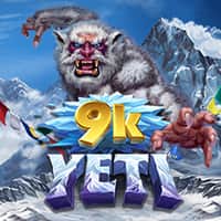 Thumbnail 9KYETI