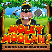 Thumbnail MOLEY MOOLAH