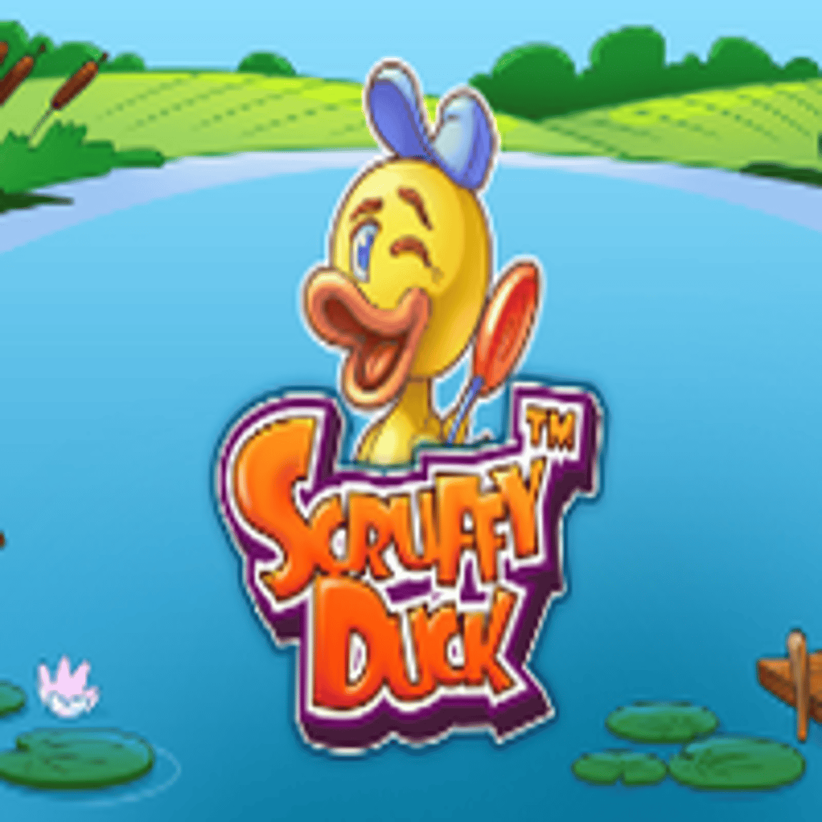 Thumbnail SCRUFFY DUCK