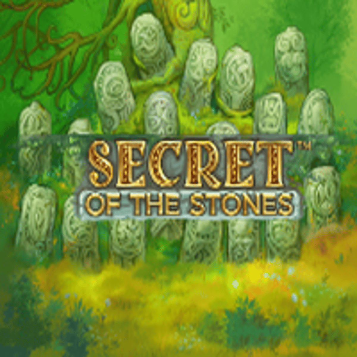 Thumbnail SECRET OF THE STONES