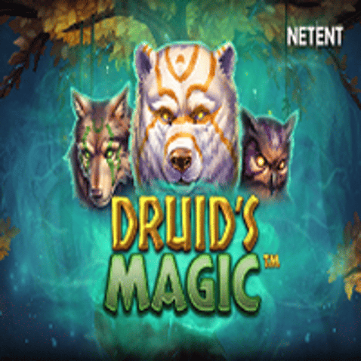 Thumbnail DRUID'S MAGIC