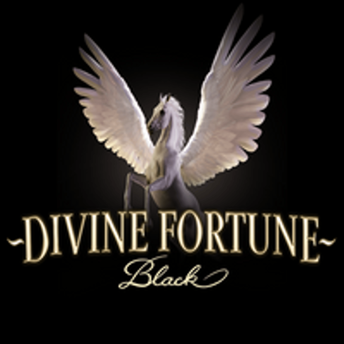 Thumbnail DIVINE FORTUNE BLACK