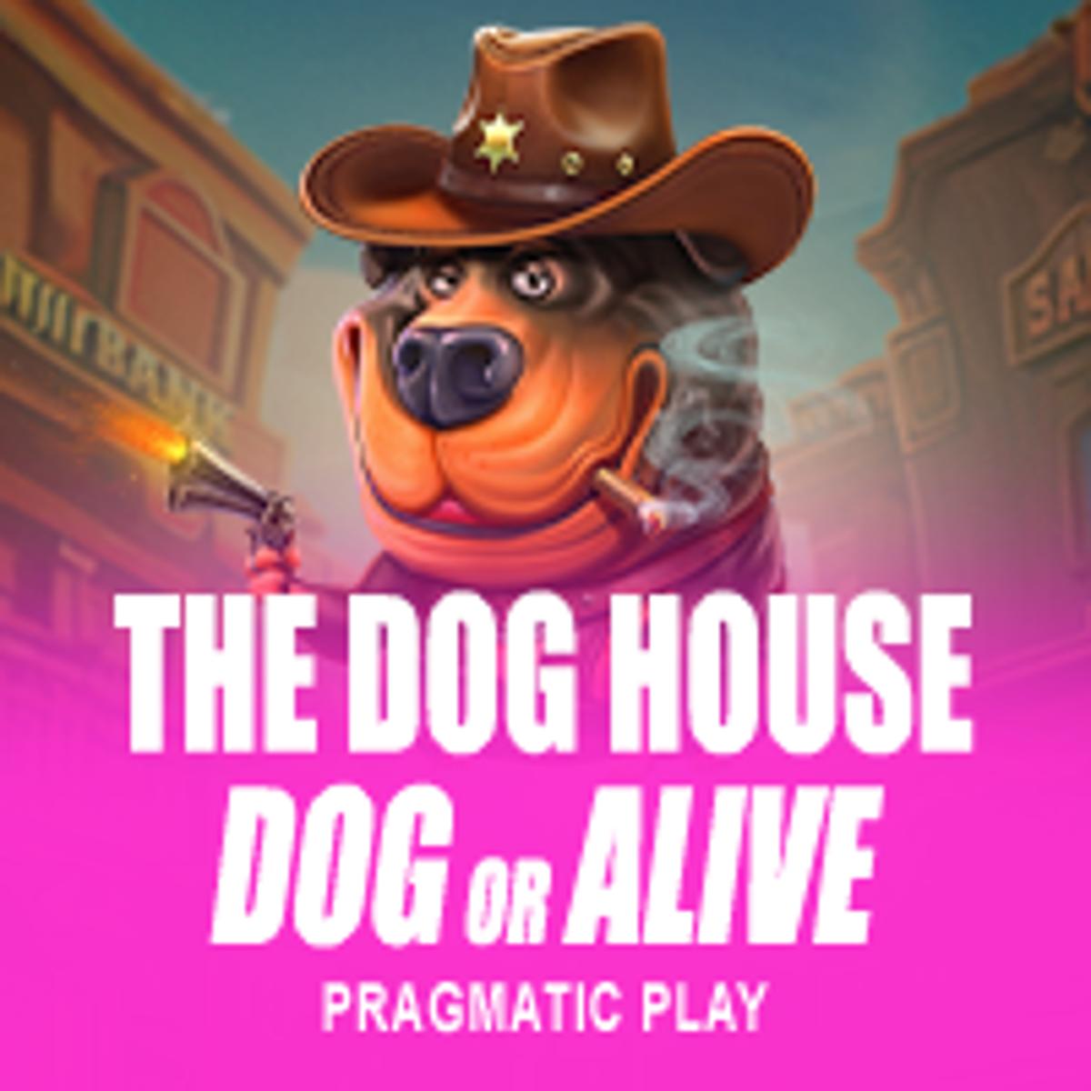 The Dog House - Dog or Alive