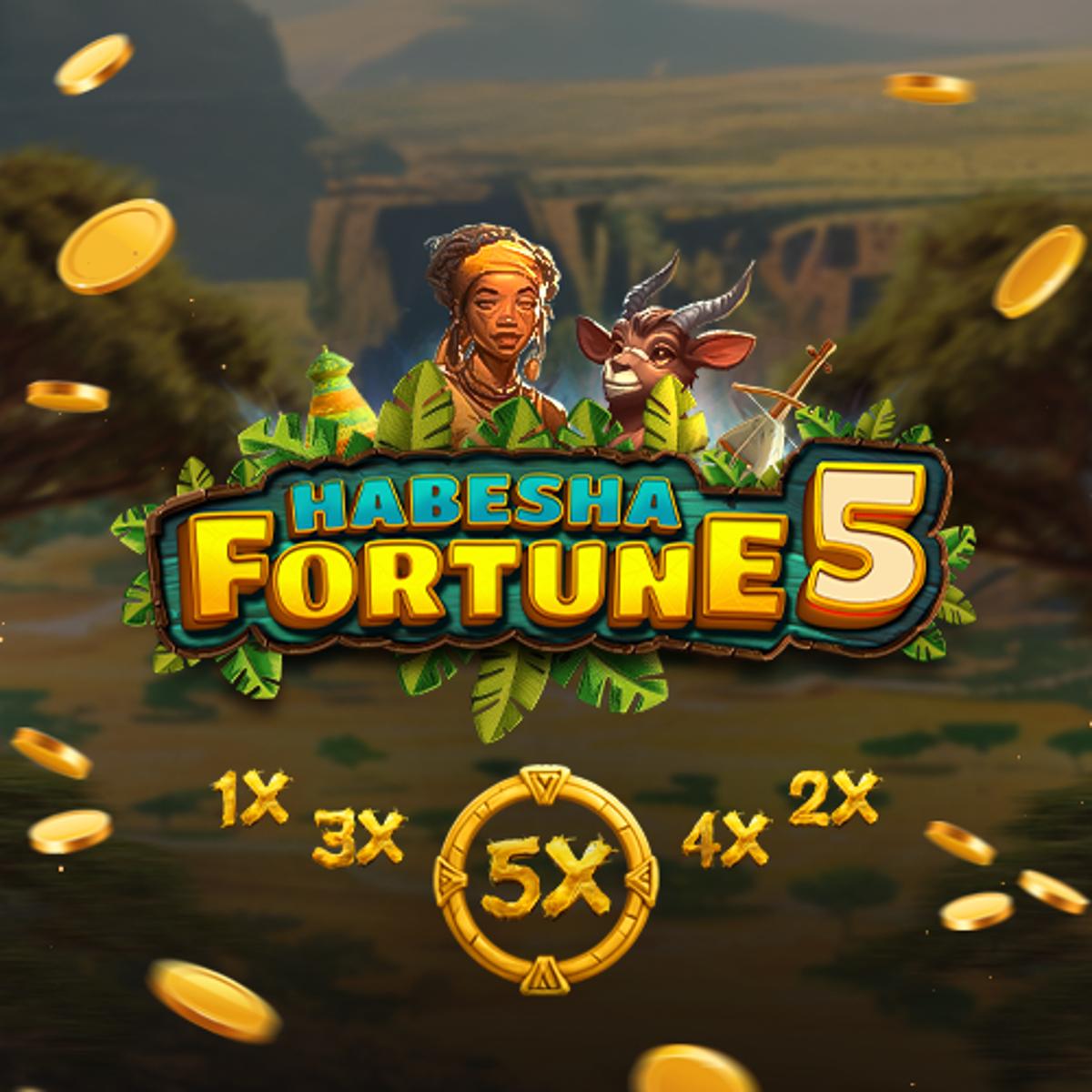 Thumbnail HABESHA FORTUNE 5