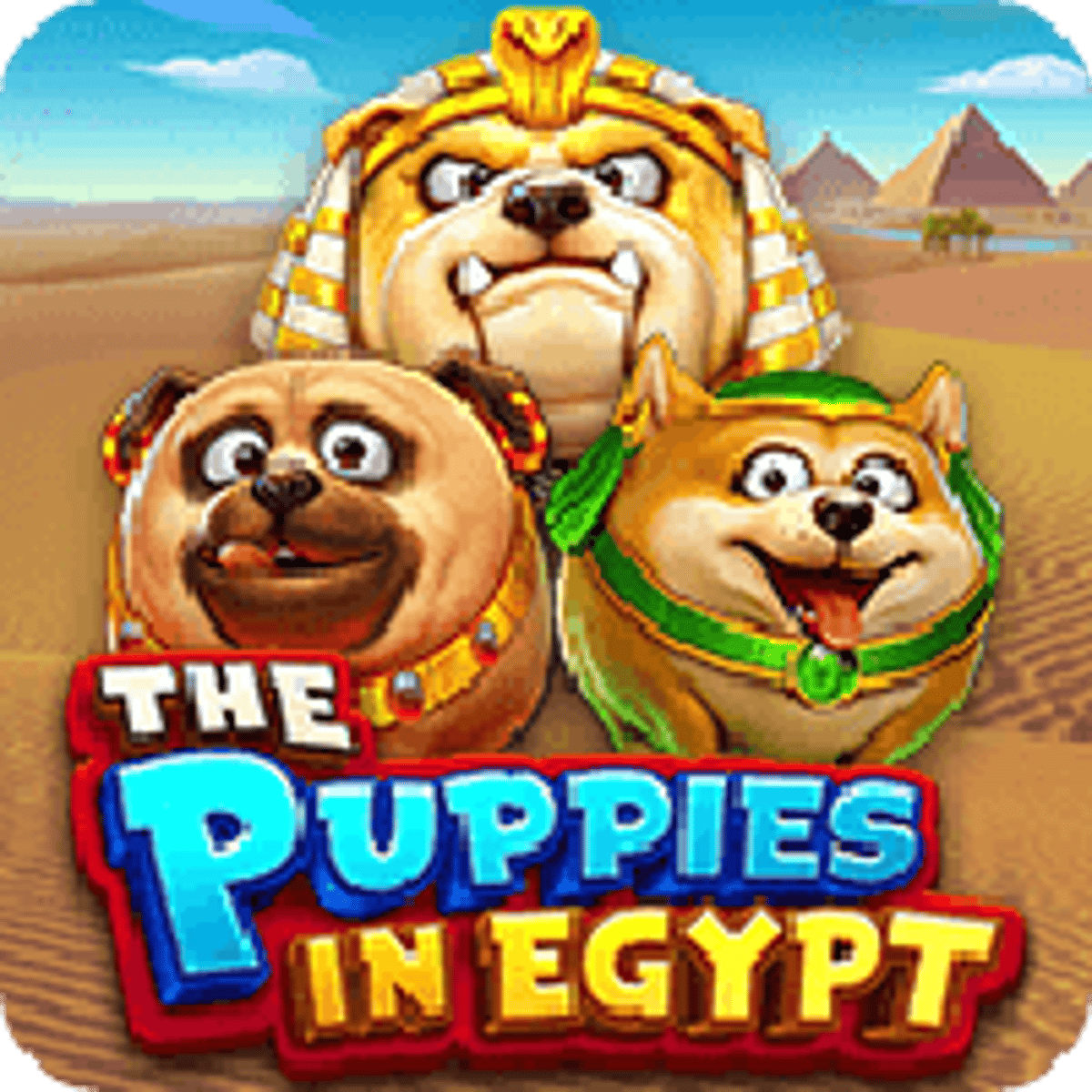 Thumbnail THE PUPPIES IN EGYPT