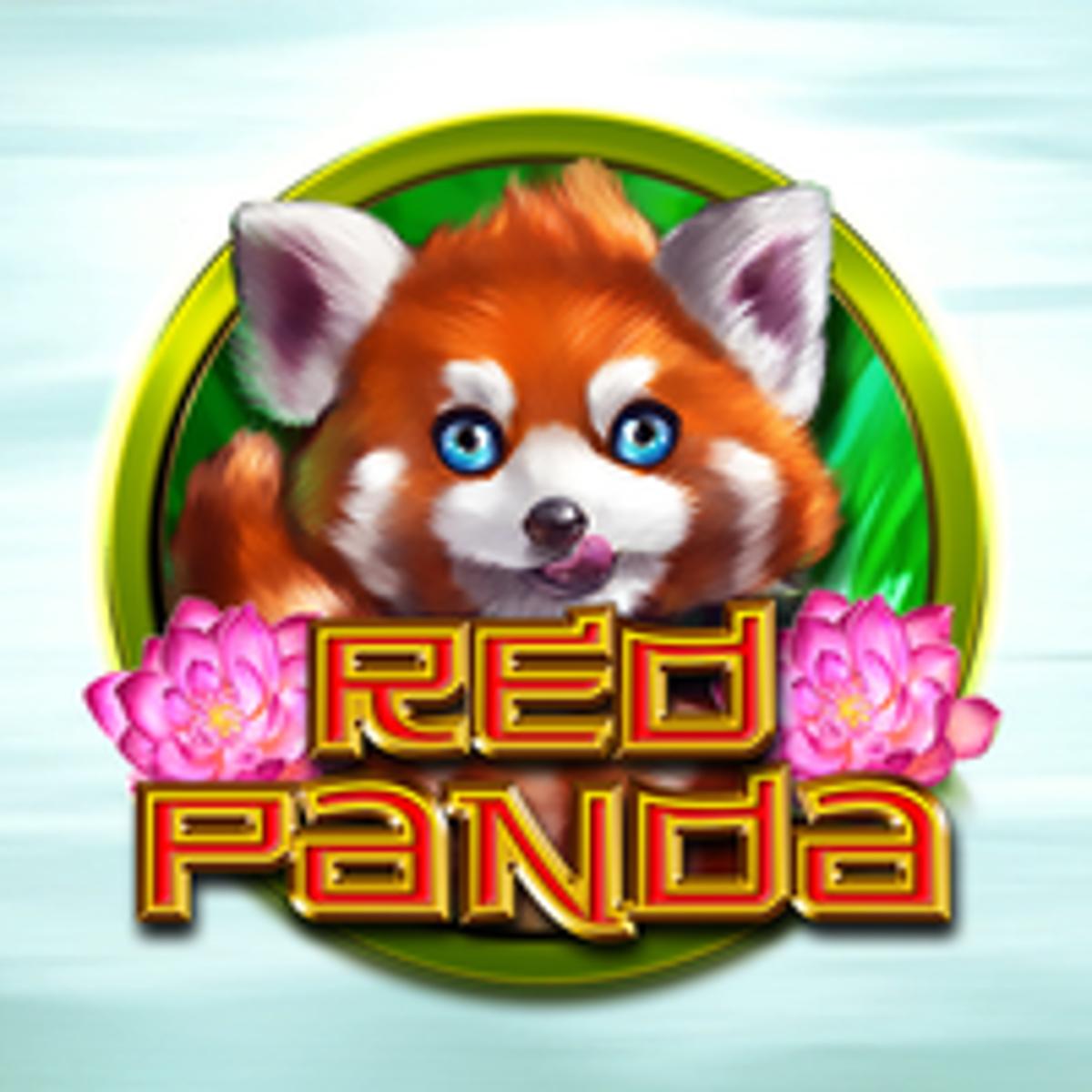 Thumbnail RED PANDA
