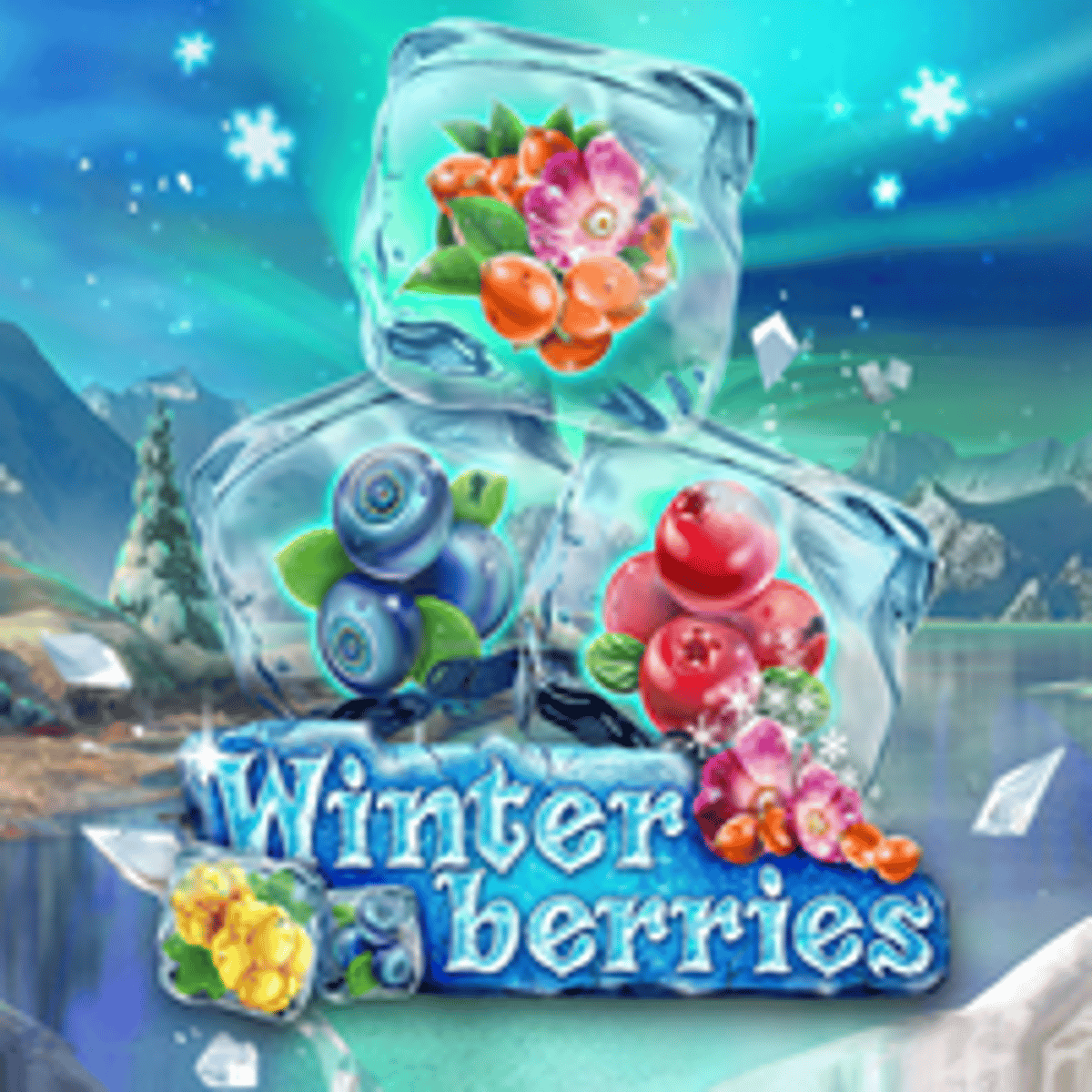 Thumbnail WINTERBERRIES