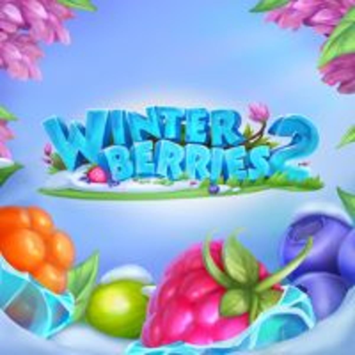 Thumbnail WINTERBERRIES 2