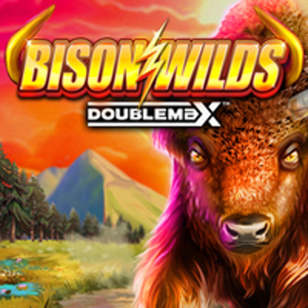 Thumbnail BISON WILDS