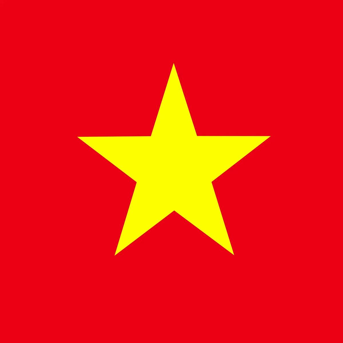 Flag tiếng Việt