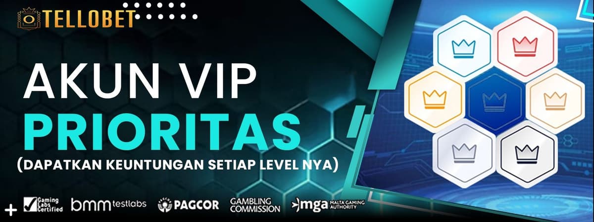 SPECIAL VIP MEMBER Banner