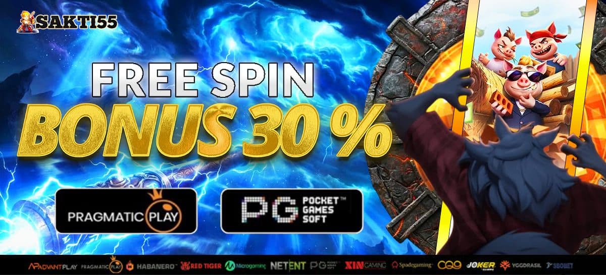 Promo Bonus Free Spin 30%